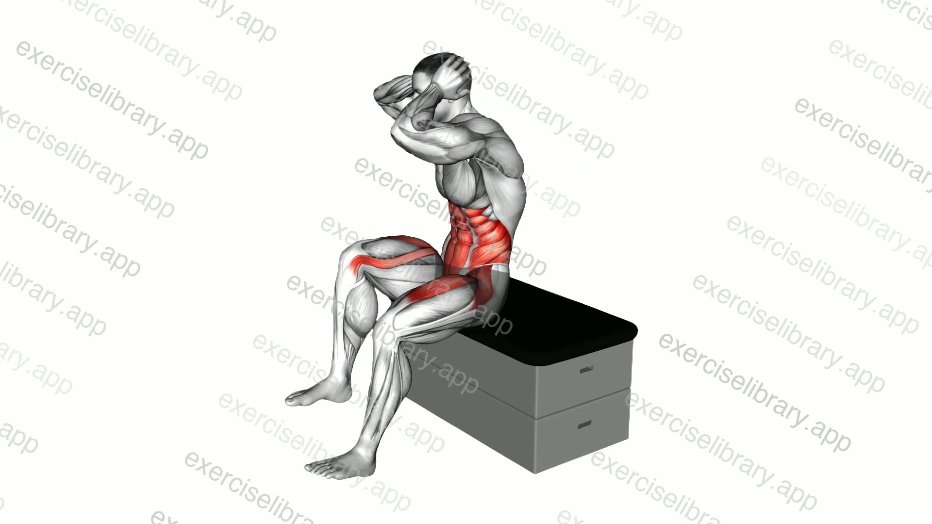 Sitting Air Twisting Crunch on a padded stool demonstration