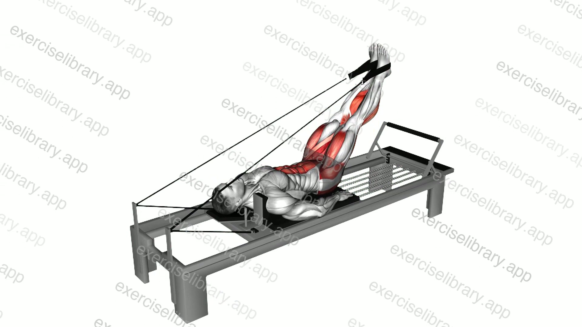 Lever Abduction Leg Raise demonstration