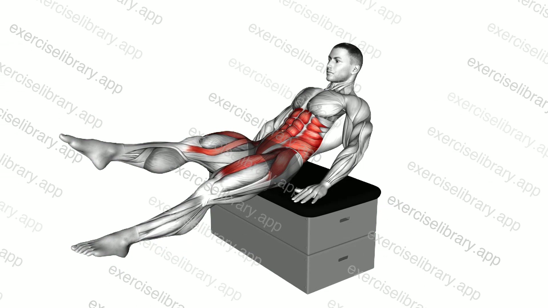 Sitting Flutter Kick on a padded stool demonstration