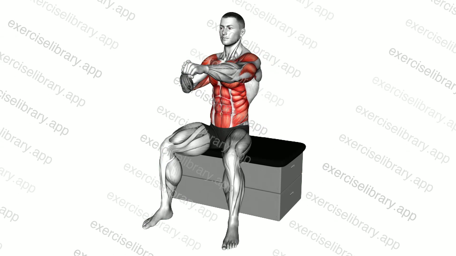 Sitting Punch on a padded stool demonstration
