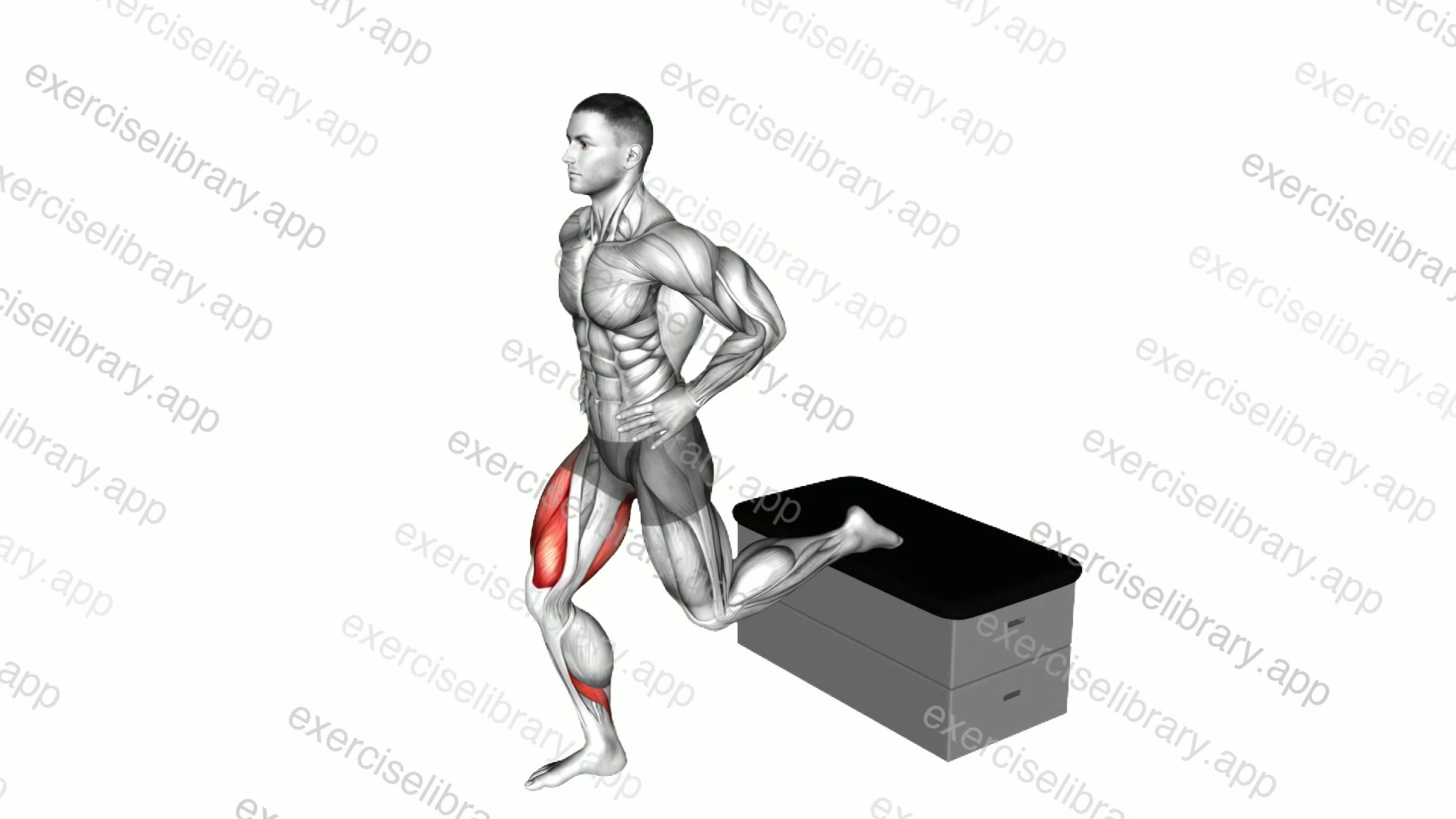 Split Squat a padded stool Supported demonstration