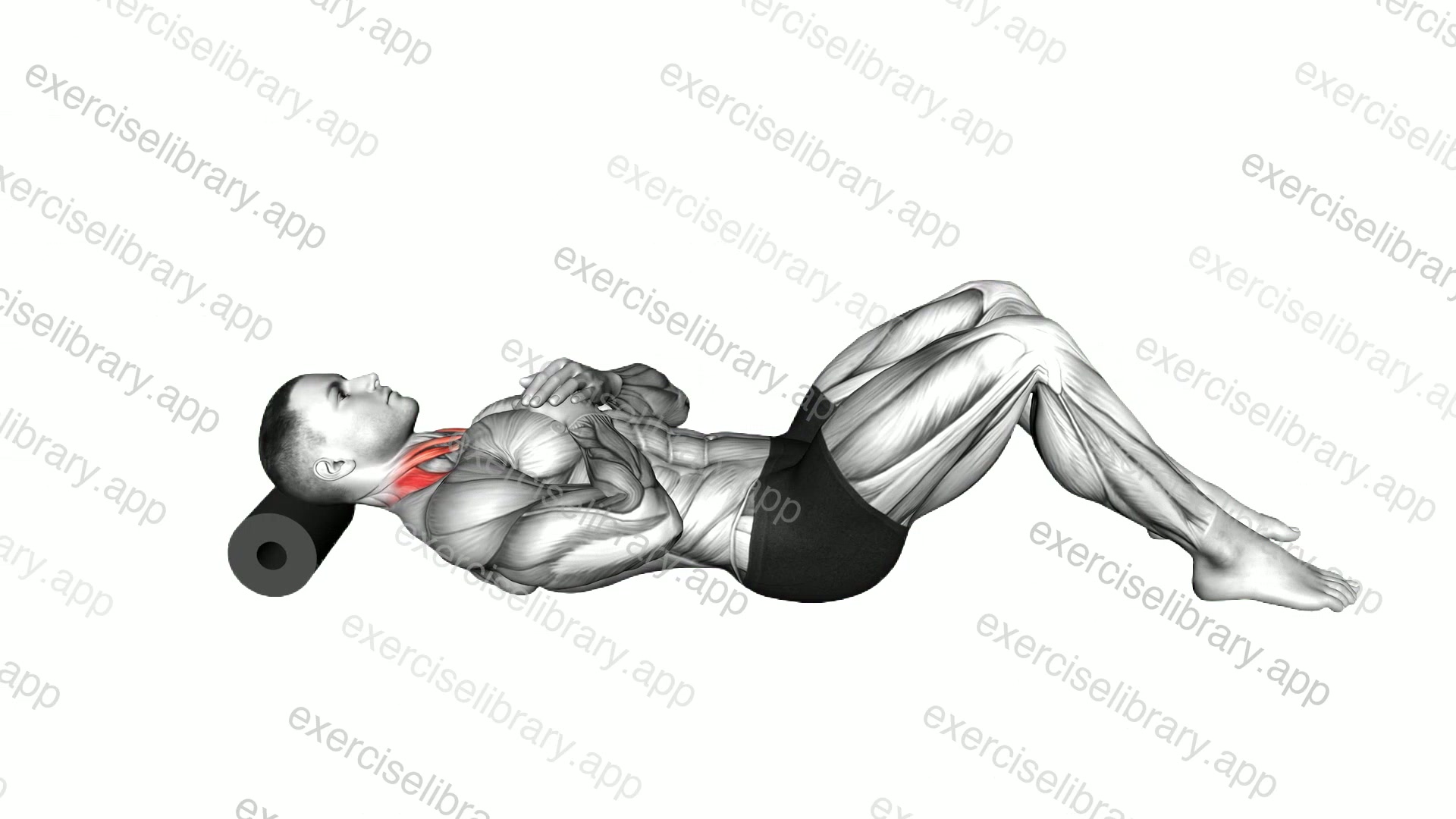 Roll Neck Decompress Lying on Floor demonstration