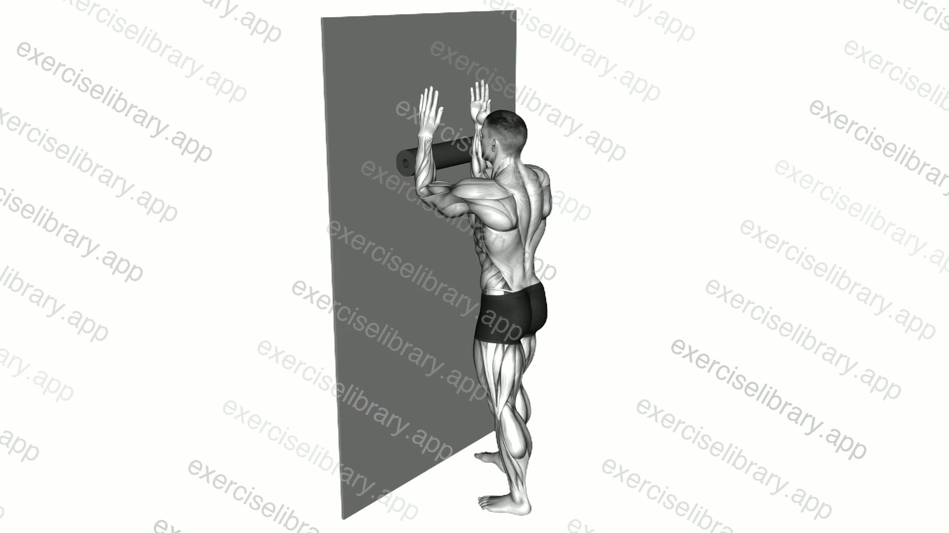 Roll Forearms Standing Against Wall demonstration