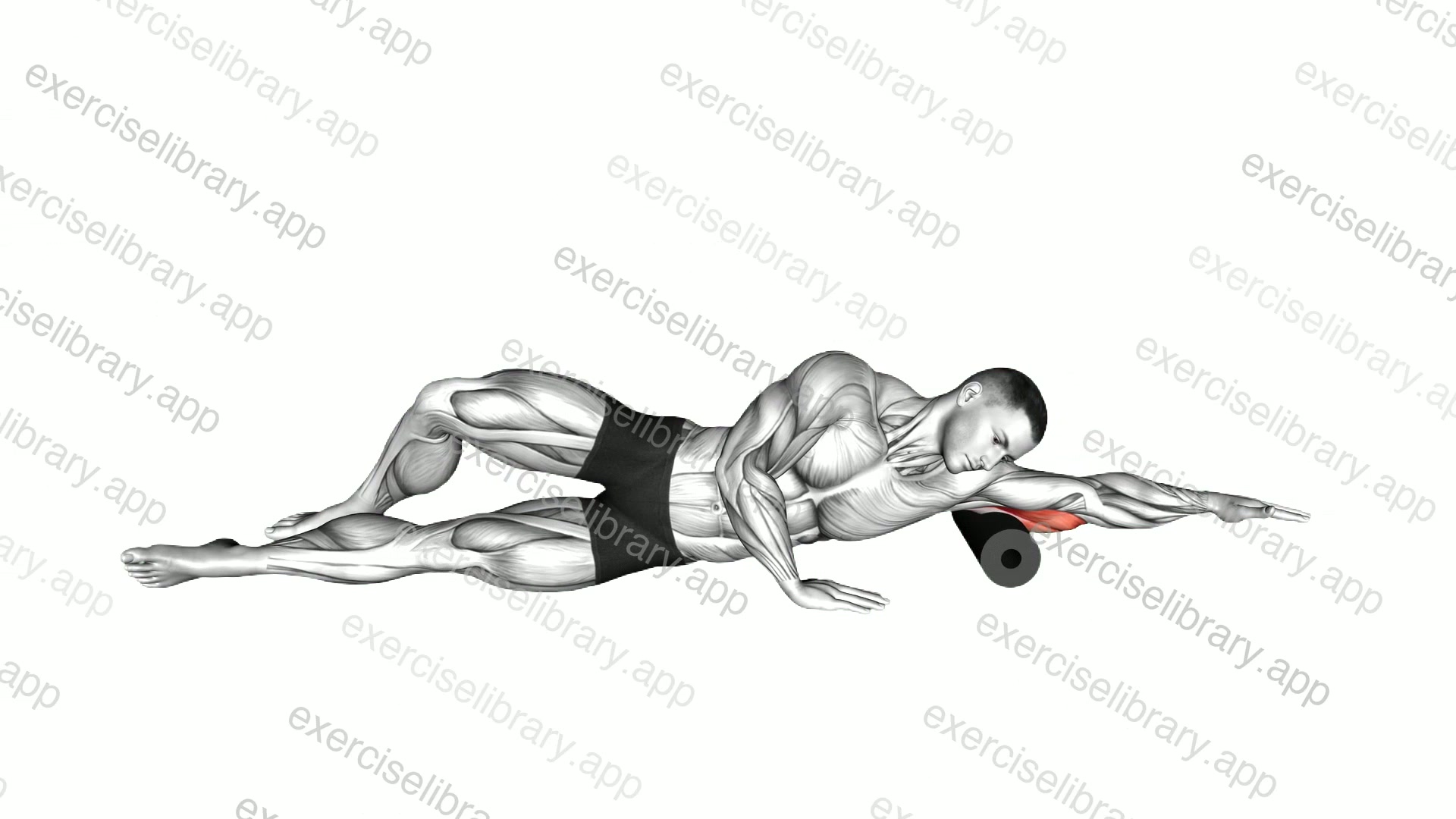Roll Triceps Side Lying on Floor demonstration