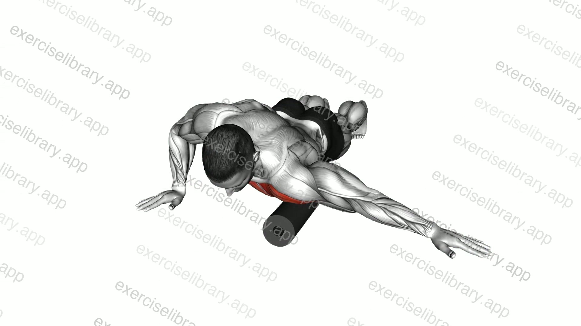 Roll Front Shoulder and Chest Lying on Floor demonstration
