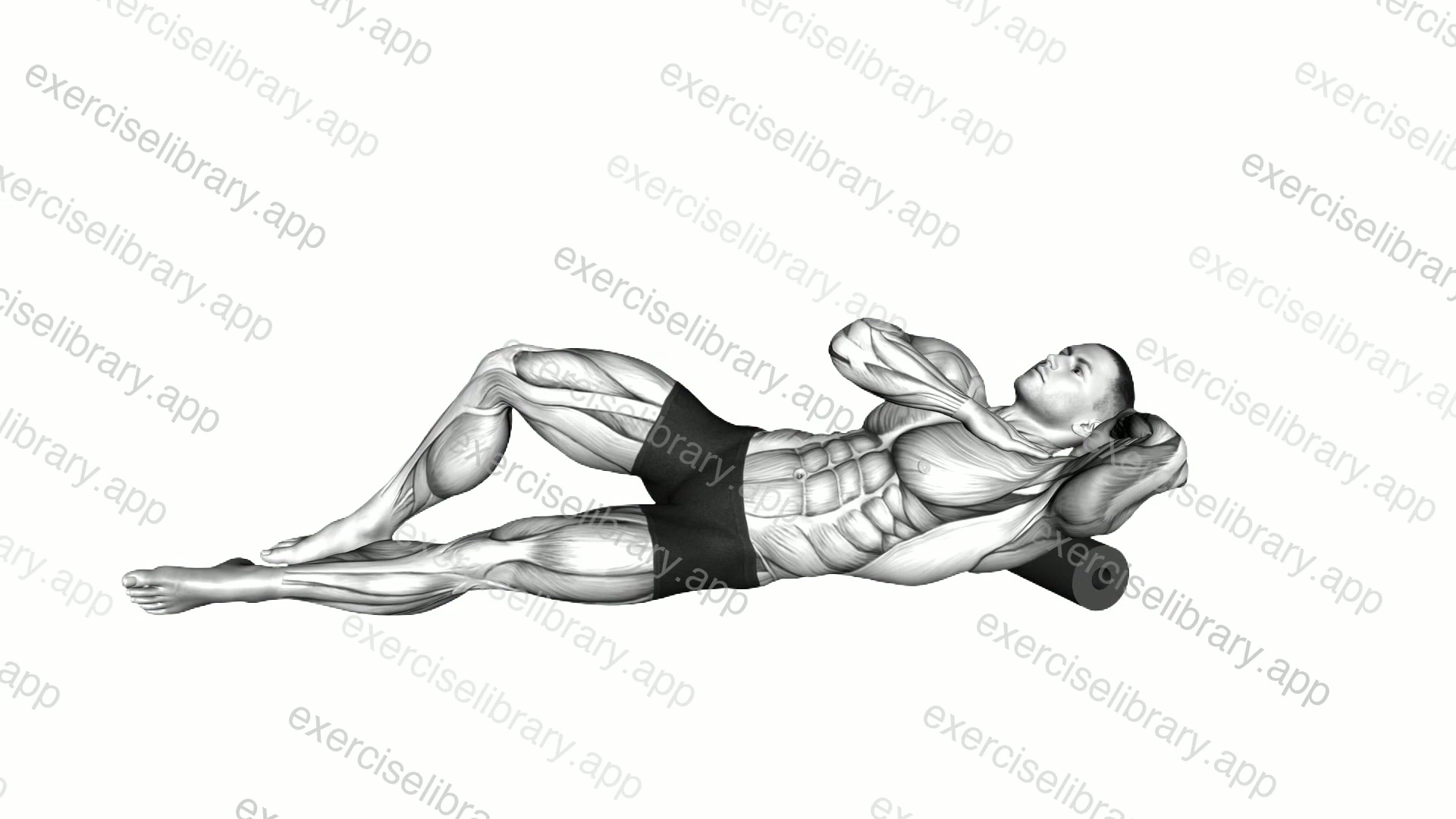 Roll Posterior Shoulder Lying on Floor demonstration