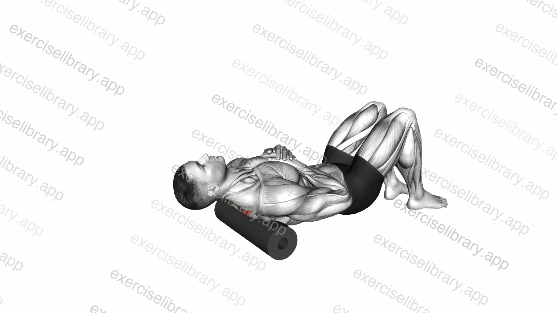 Roll Middle Back Lying on Floor demonstration