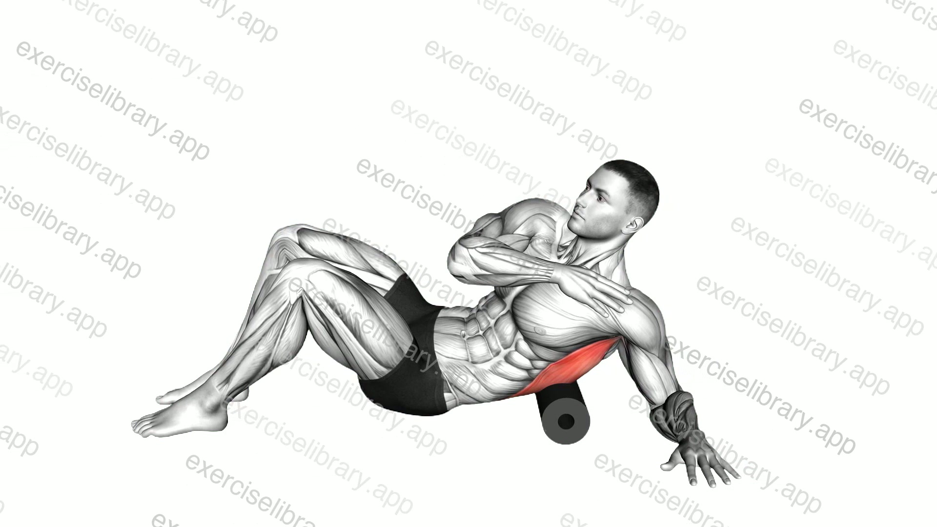 Roll Lower Back Lying on Floor demonstration