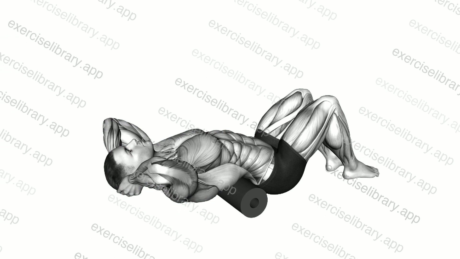 Roll Thoracic Spine Lying on Floor demonstration