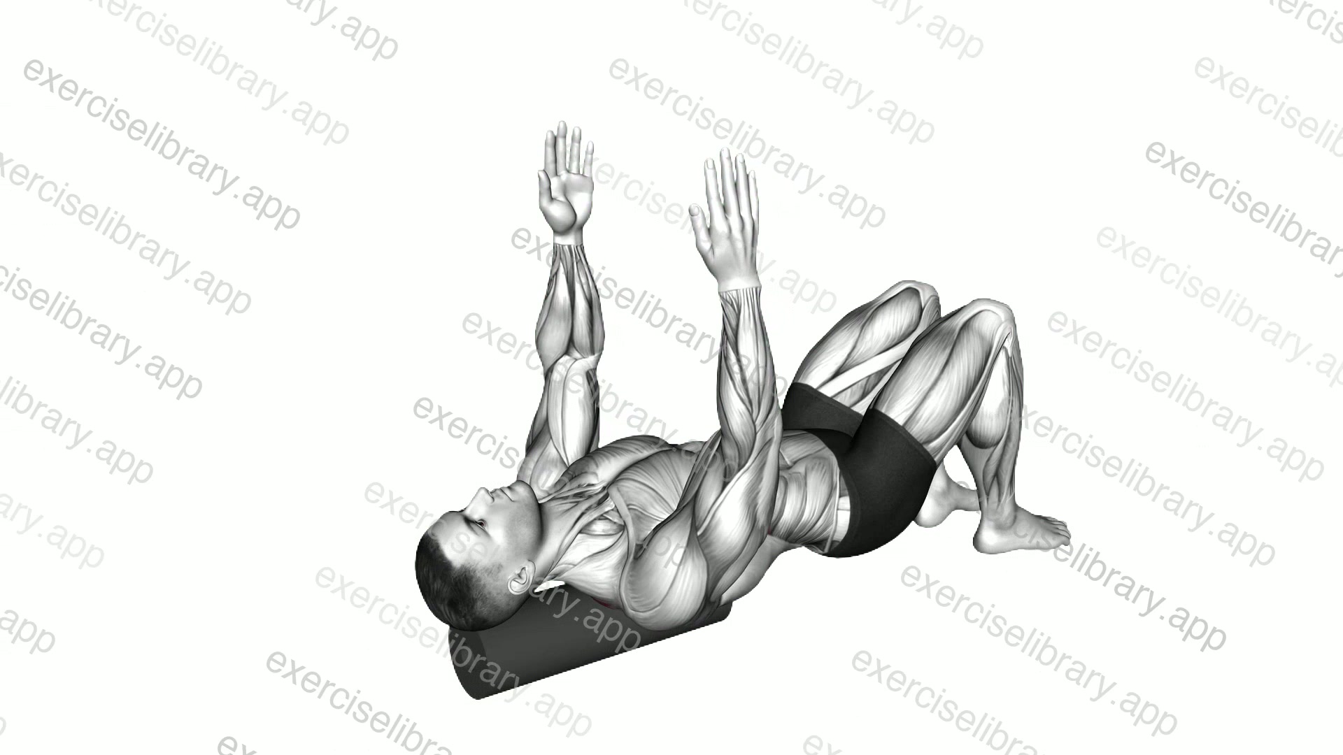 Roll Shoulder Blade Reach Lying on Floor demonstration