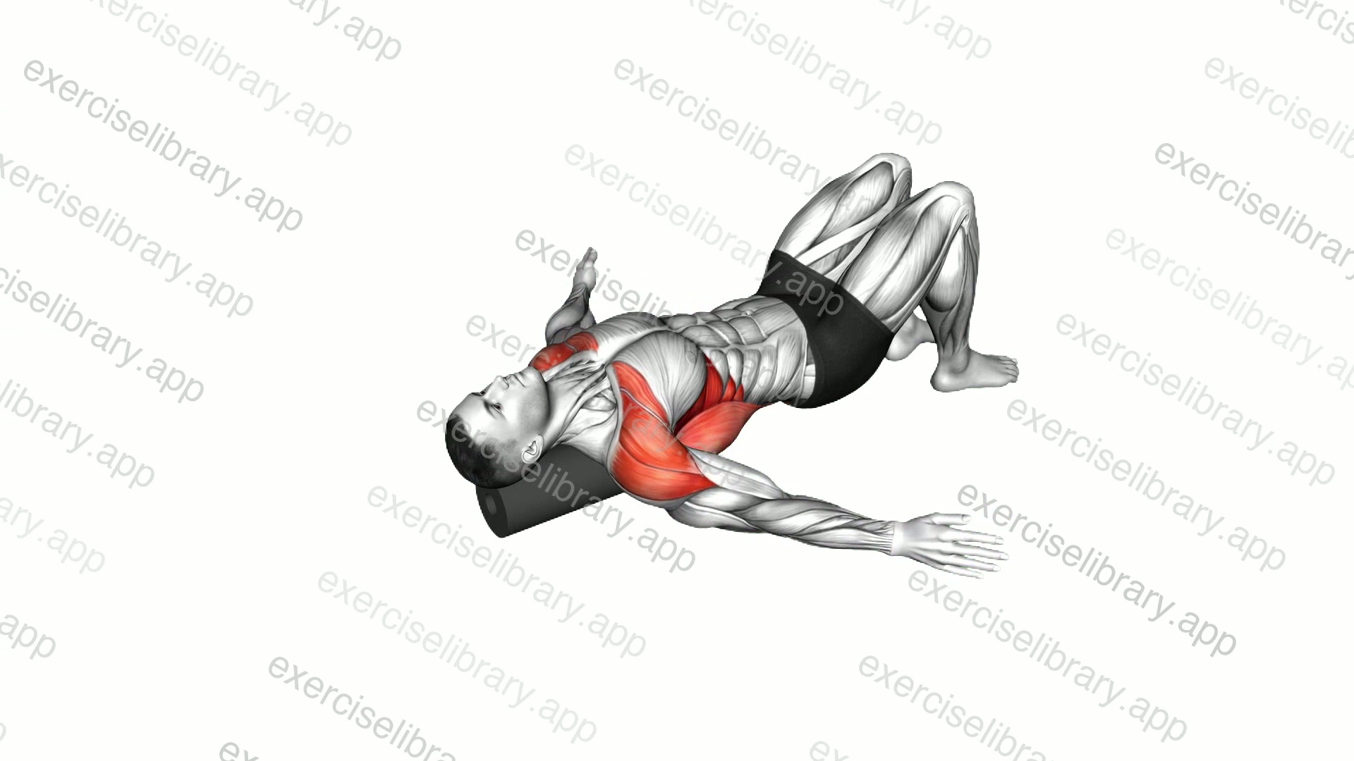 Roll Around the World Lying on Floor demonstration