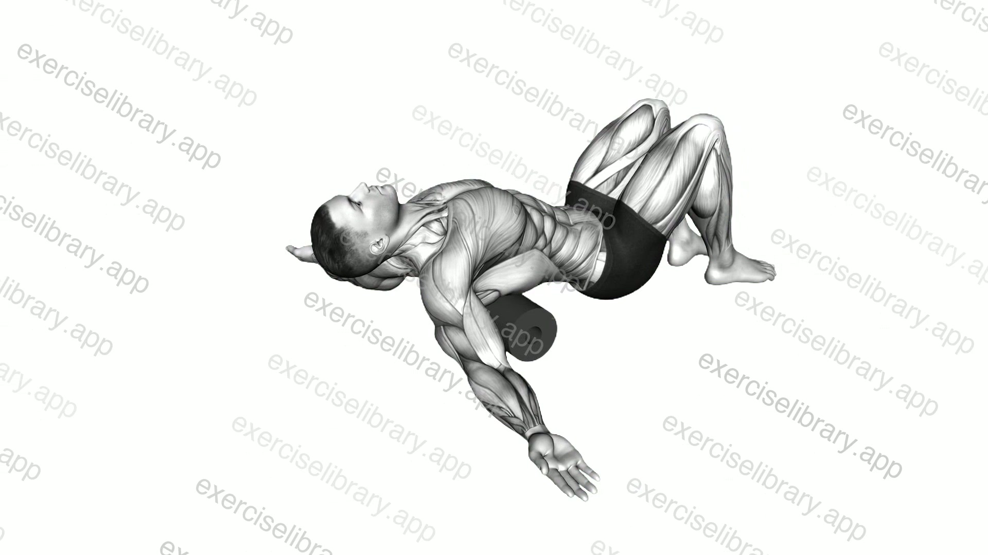 Roll Erector Spinae Lying on Floor demonstration