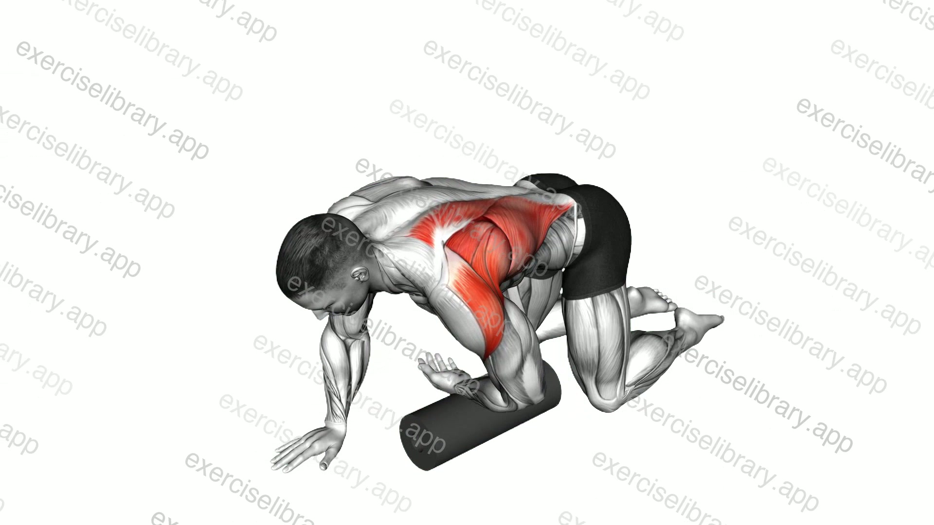 Roll Kneeling Upper Back Rotation demonstration