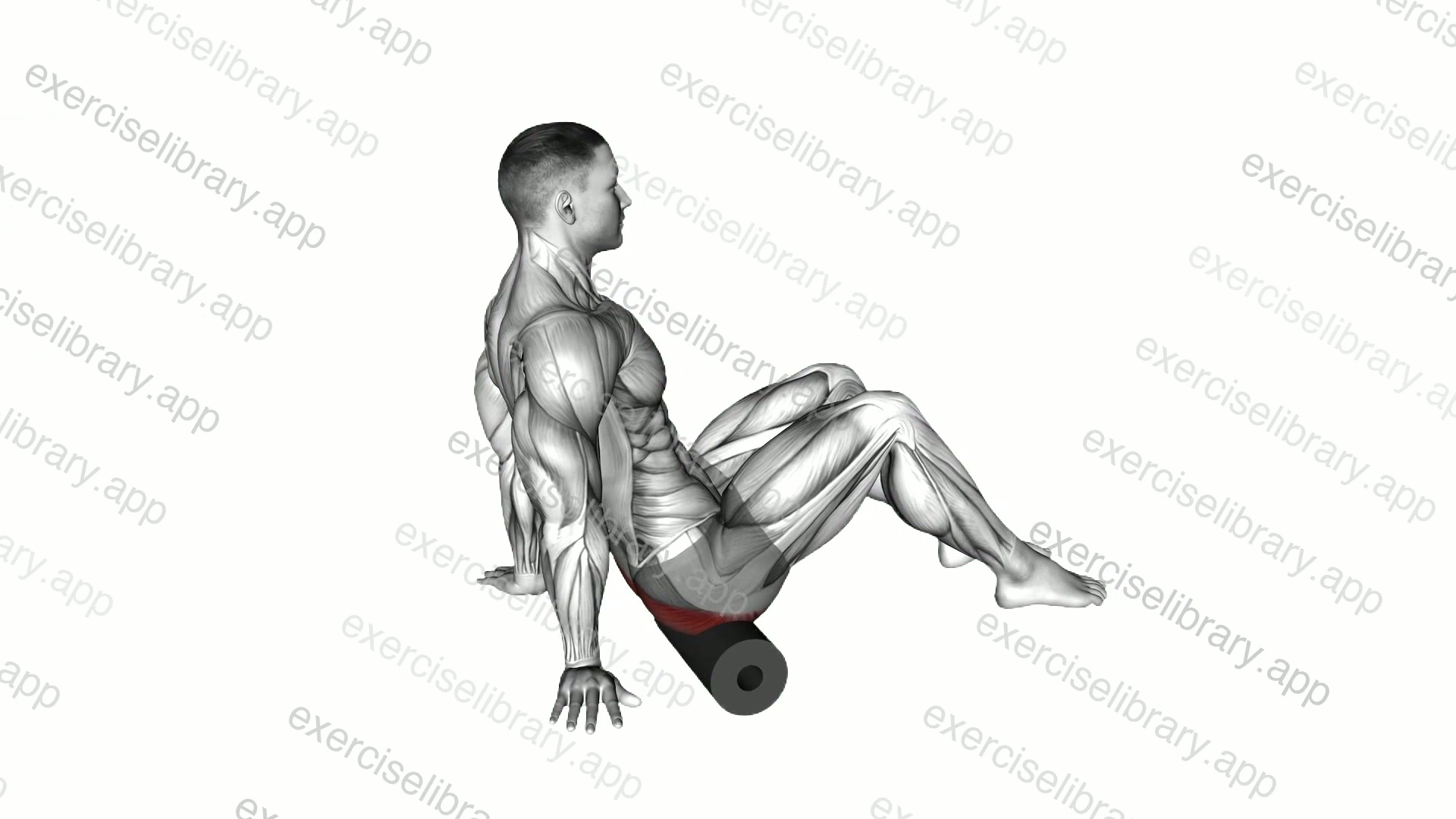 Roll Glutes Sitting on Floor demonstration