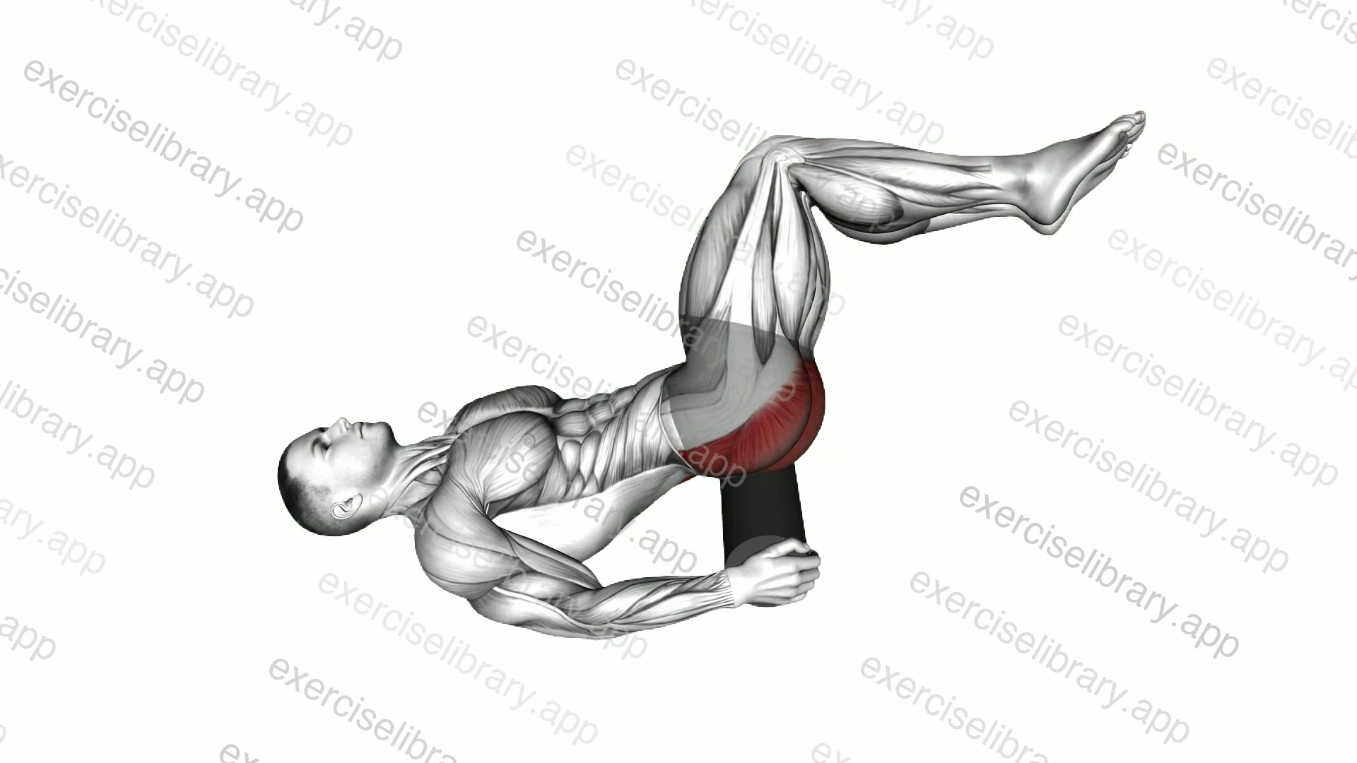 Roll Glute Twist Lying on Floor demonstration