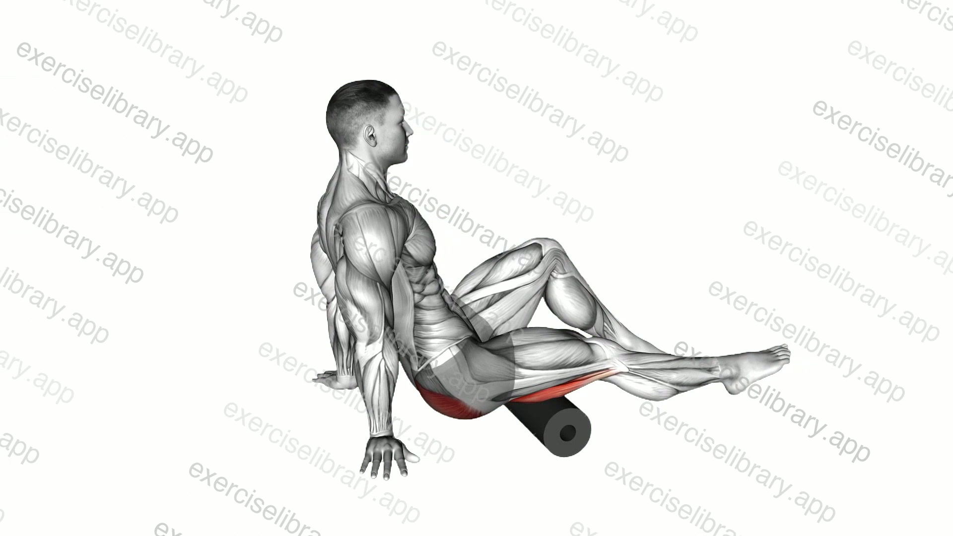 Roll Hamstrings and Glute Sitting on Floor demonstration