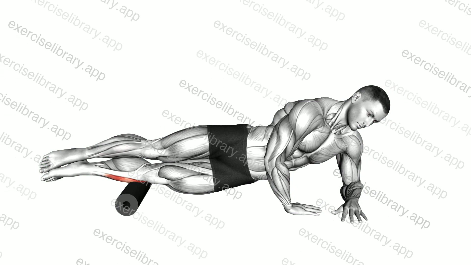 Roll Peroneal Side Lying on Floor demonstration