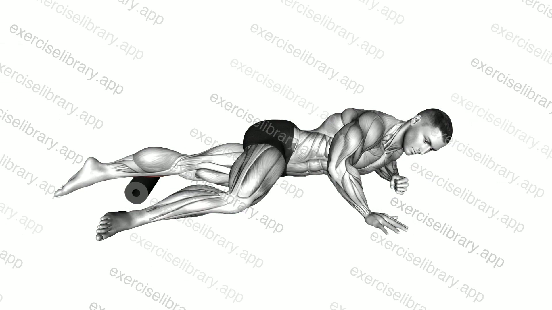 Roll Peroneal Side Lying on Floor demonstration
