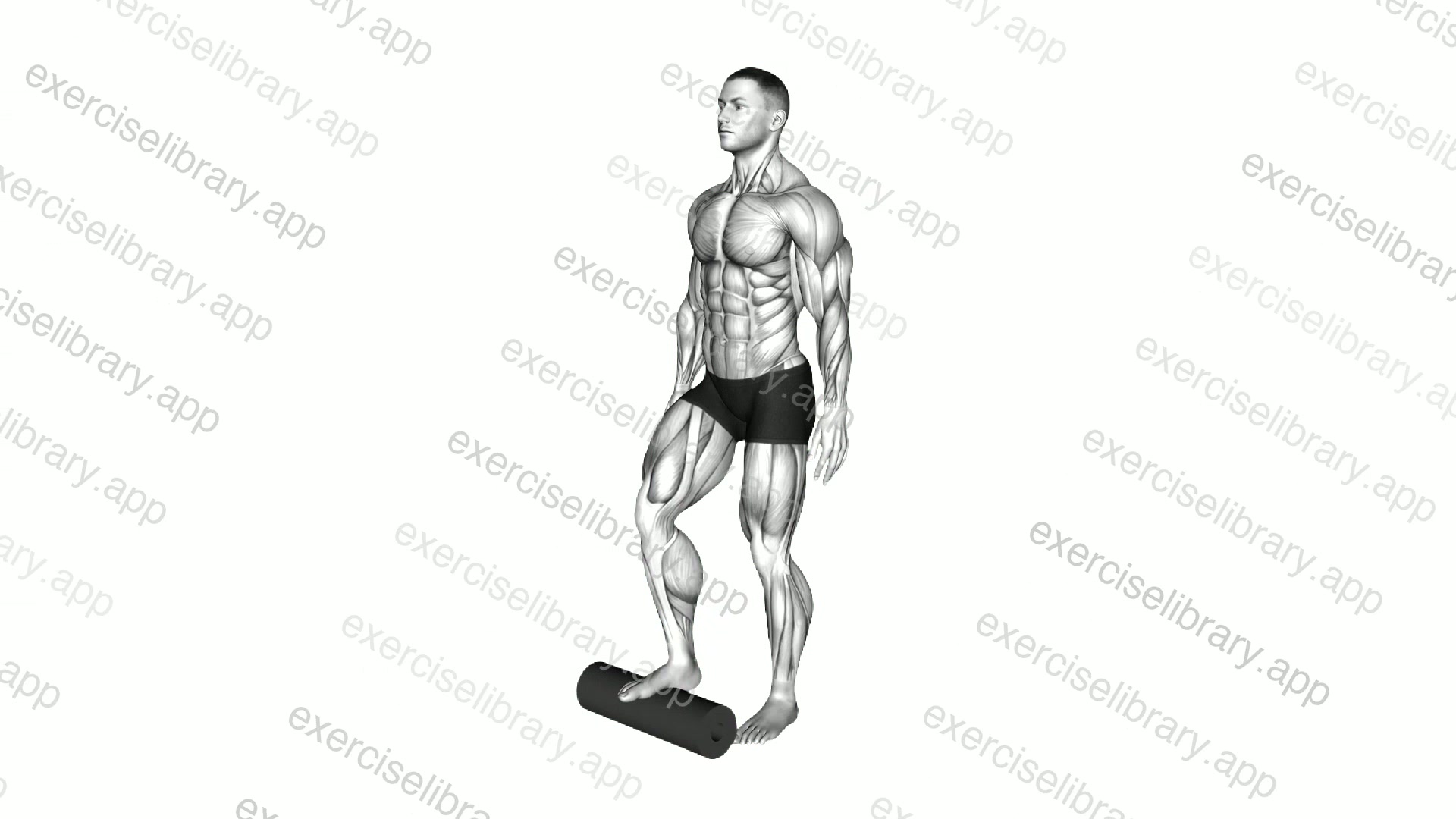 Roll Foot demonstration