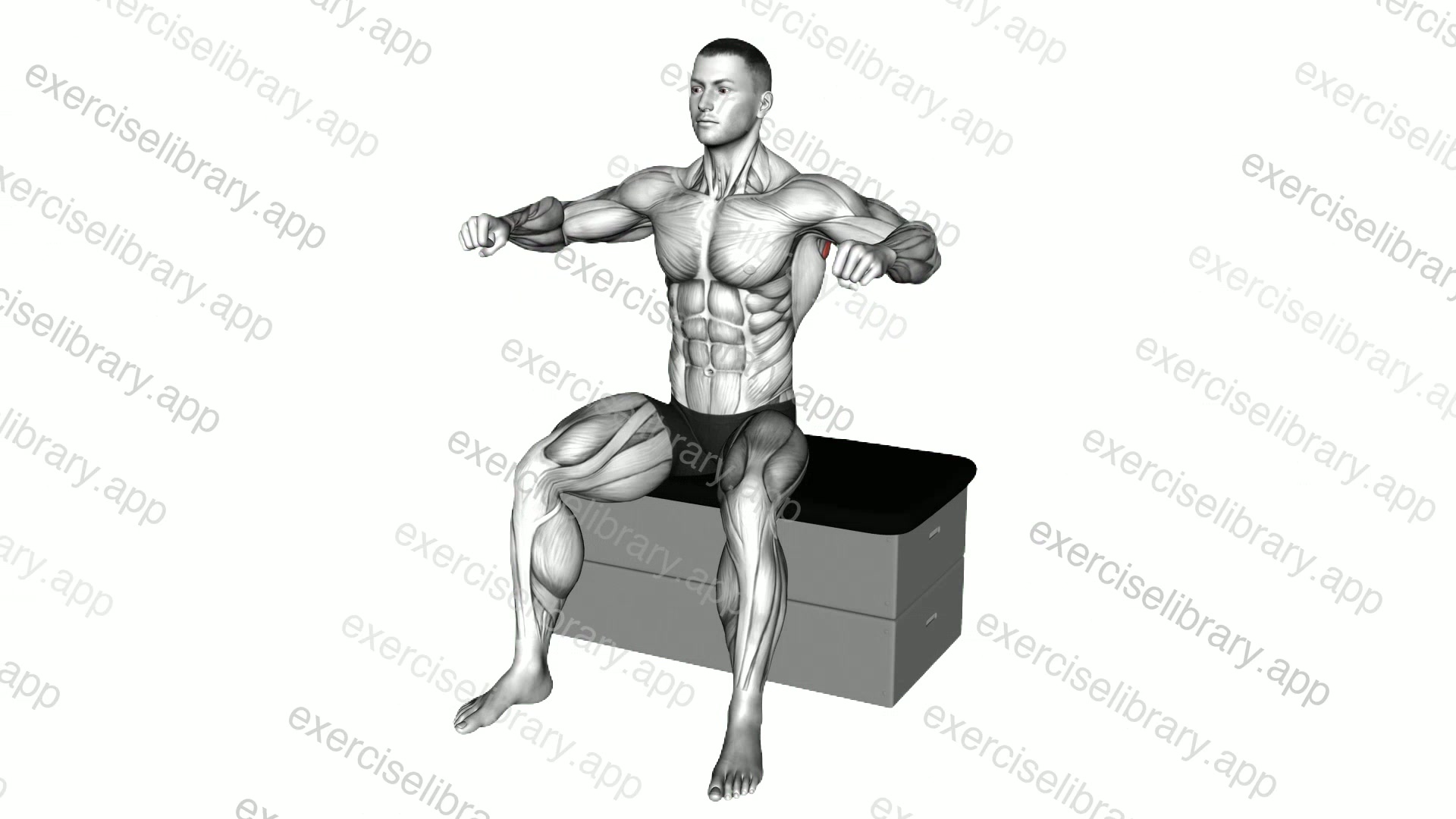 Rotator Cuff Warm-up demonstration