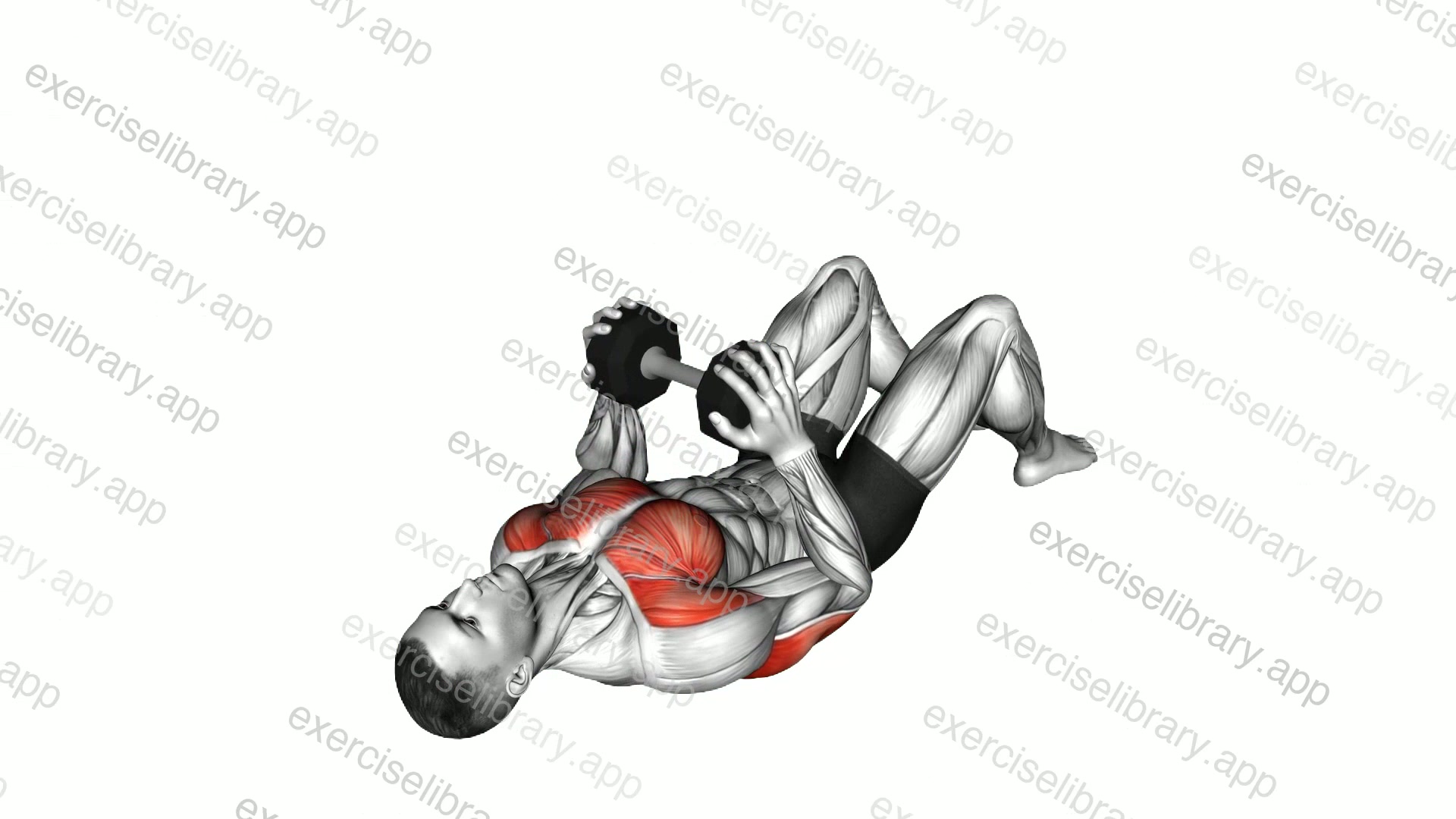 Dumbbell Squeeze Press on Floor demonstration