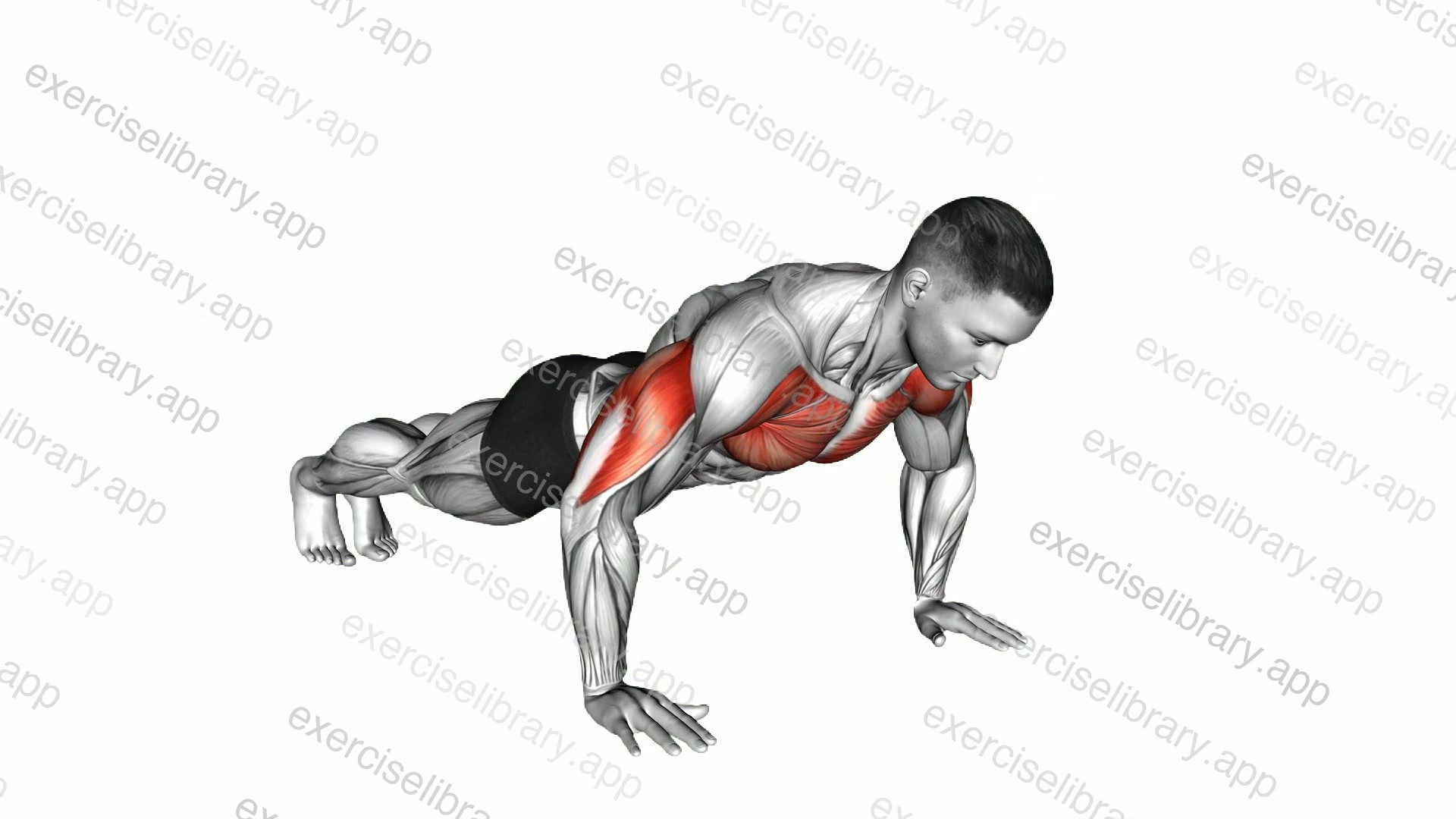 Explosive Push-up demonstration