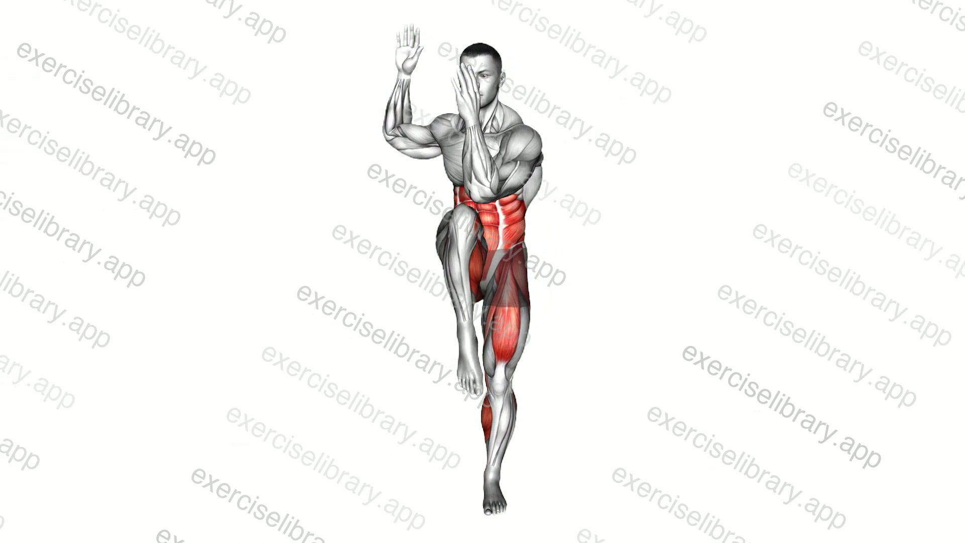 T-Twist Knee Drive demonstration