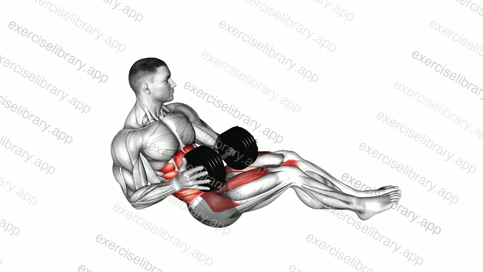 Dumbbell Russian Twist with Legs Floor Off demonstration
