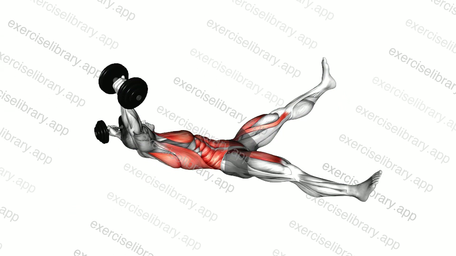 Dumbbell Starfish Crunch demonstration