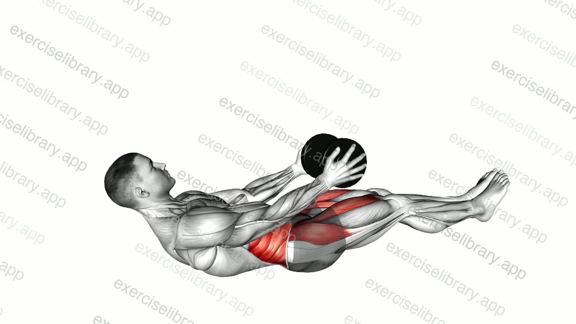 Dumbbell Crunch Hold with Legs Off demonstration