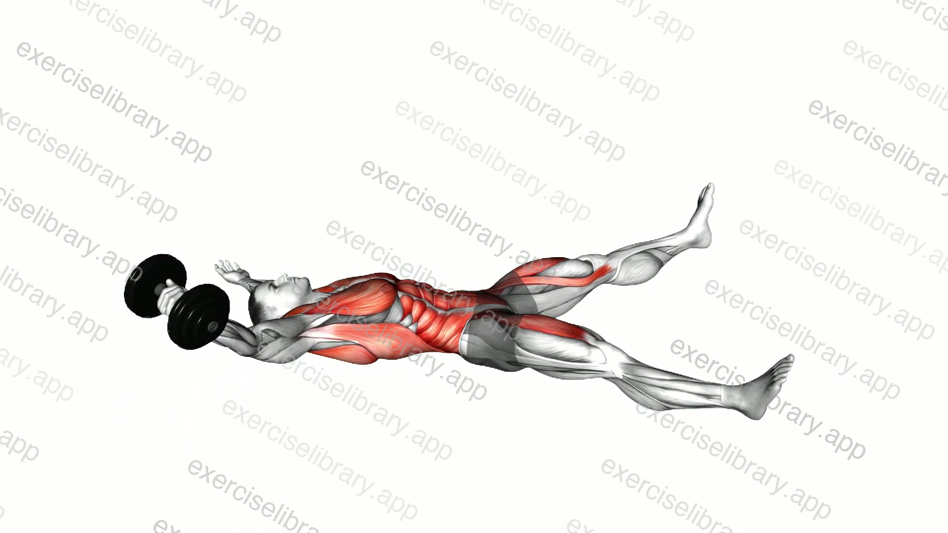 Dumbbell Single Arm Starfish Crunch demonstration