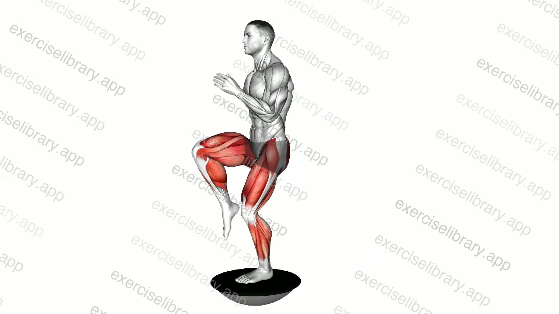 High Knee Lunge on Bosu Ball demonstration