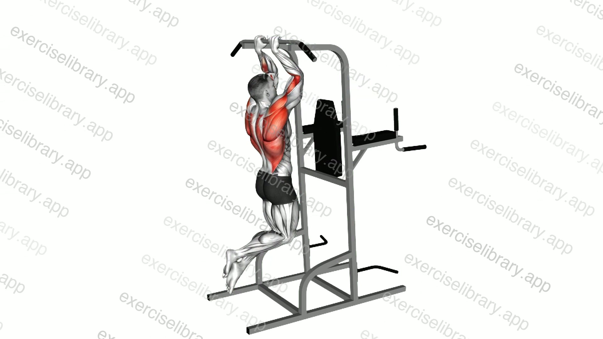 Close Grip Pull-up demonstration