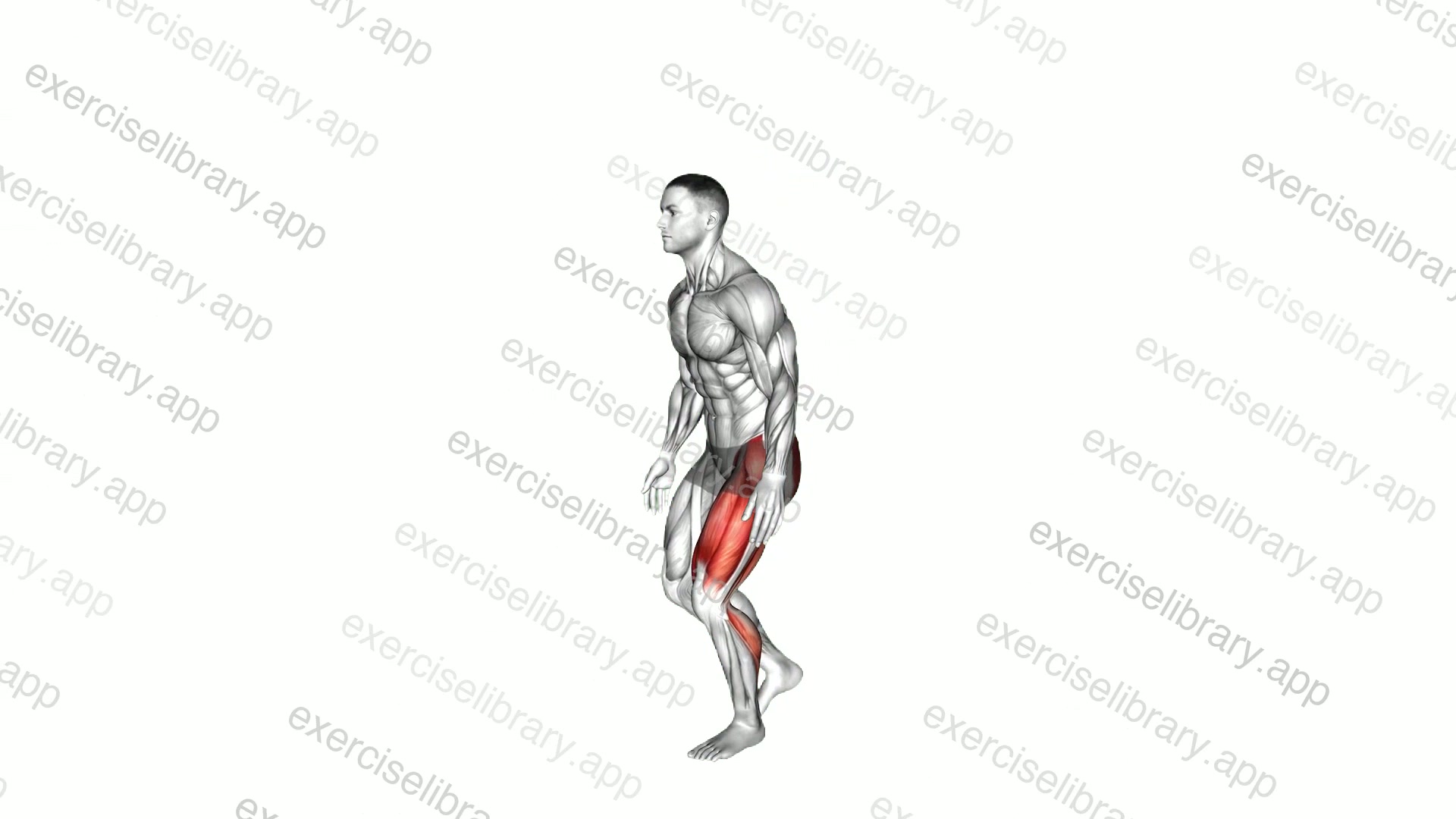 Single Leg Hopping demonstration