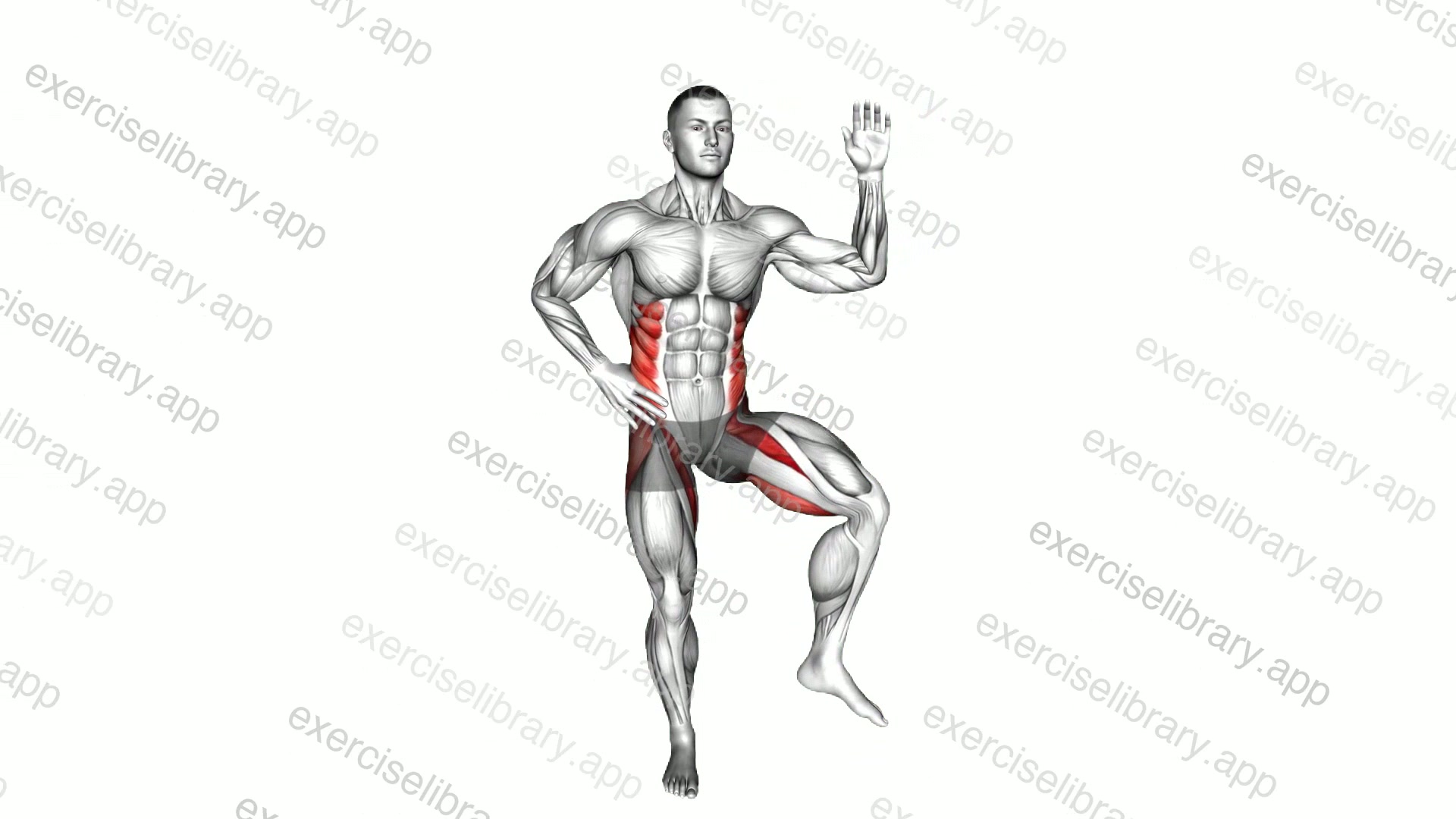 Standing Side Crunch Elbow to Knee demonstration