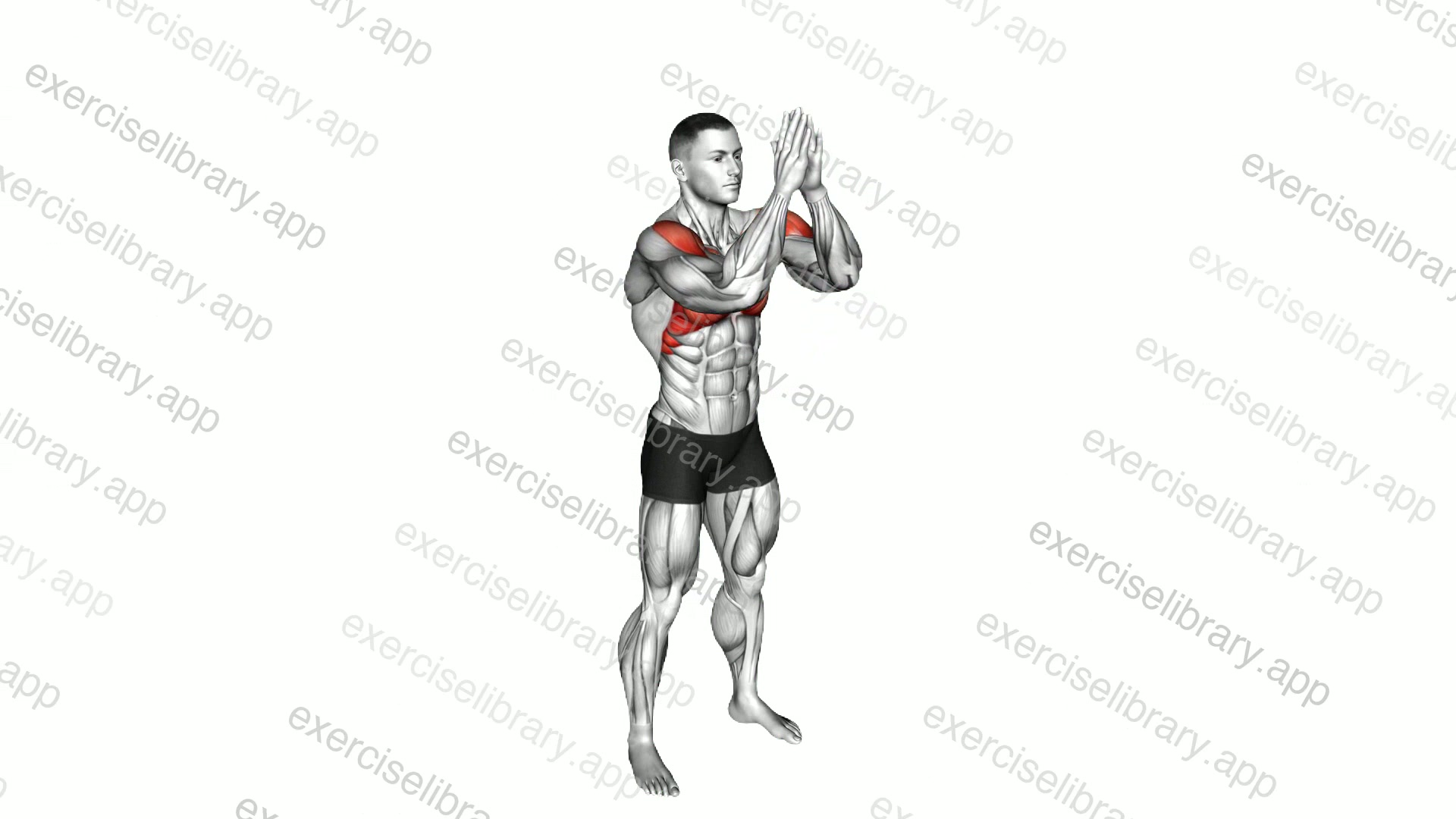 Standing Elbow Clap demonstration