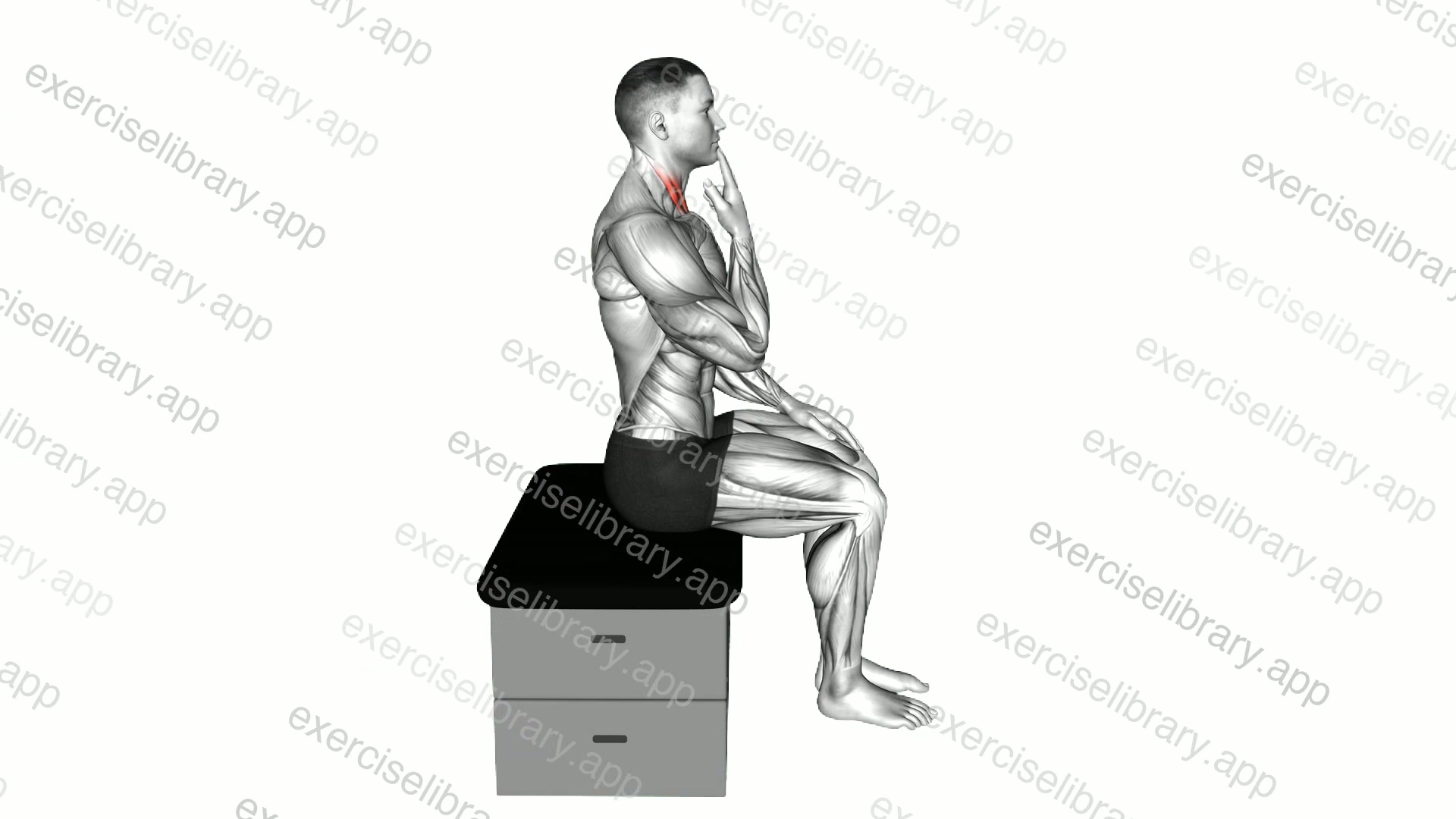 Seated Chin Tuck demonstration
