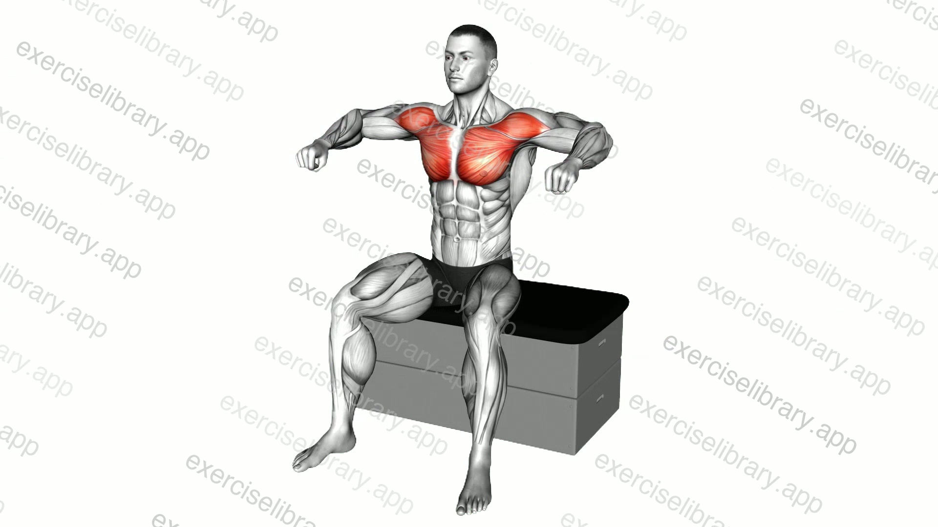 Seated Shoulder 90 degrees Internal Rotation demonstration