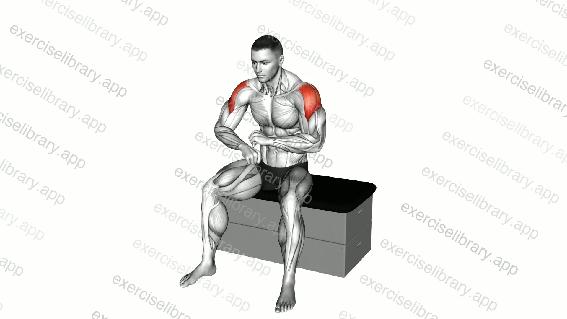 Seated Learning Back Stretch demonstration