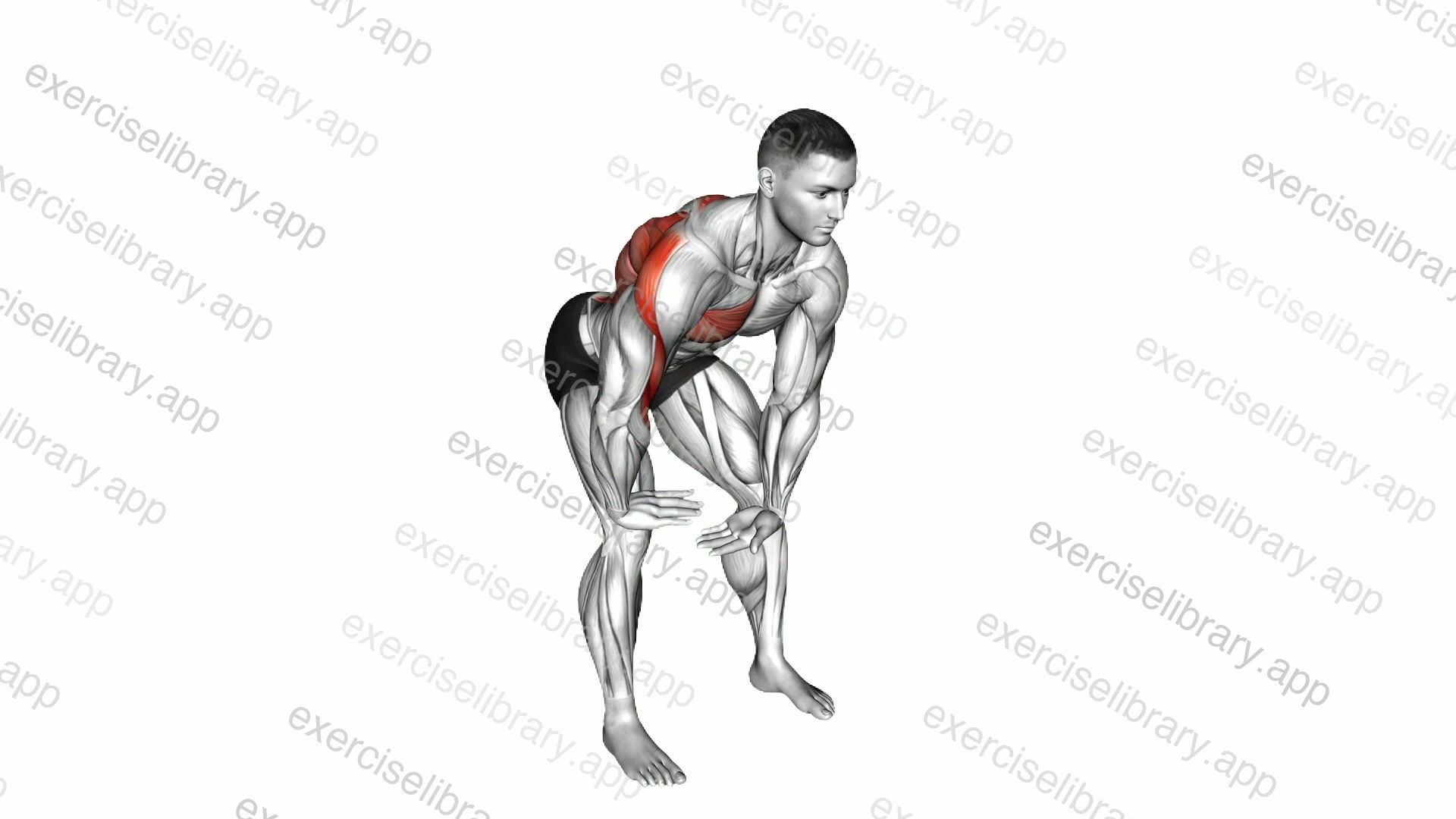 Chest Pull Back demonstration
