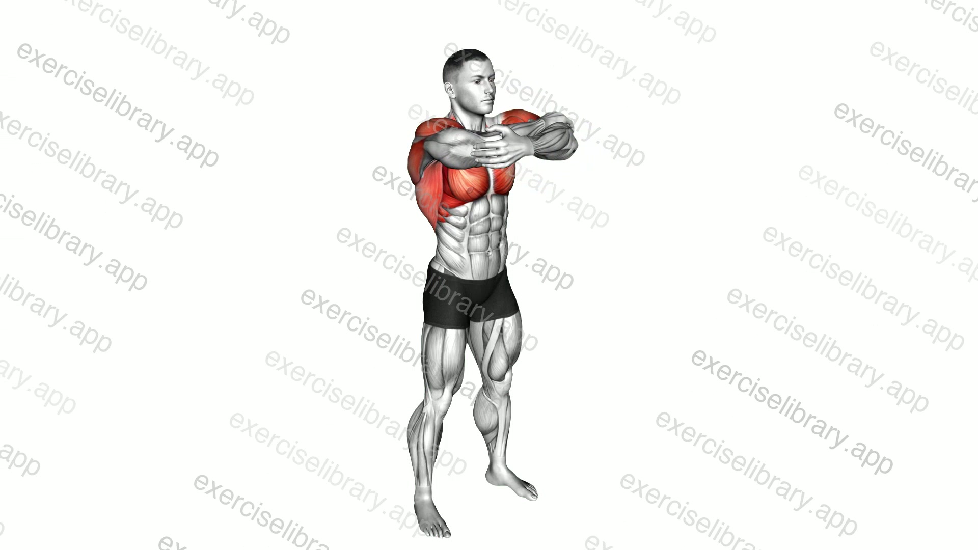 Standing Shoulders Full Flexion demonstration