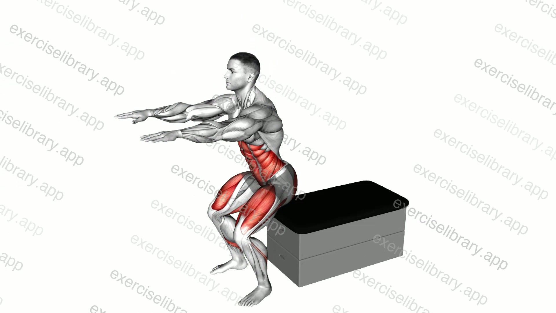 Sit-up Stand-up demonstration