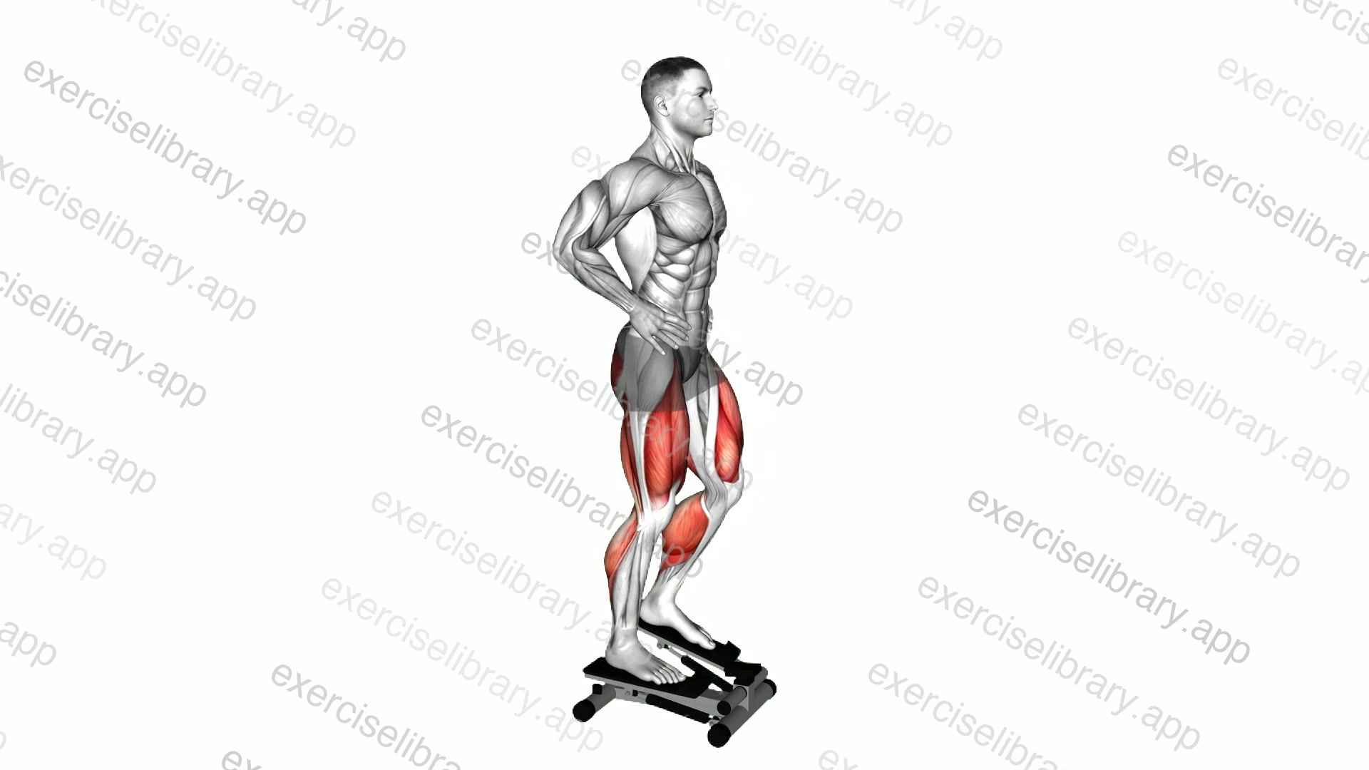 Lever Step demonstration