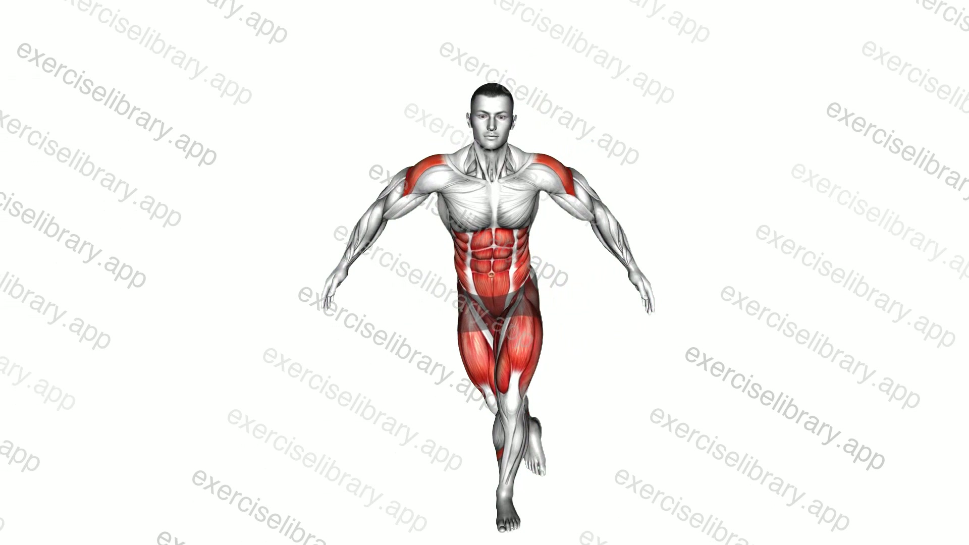 Rear Fly Stepback demonstration