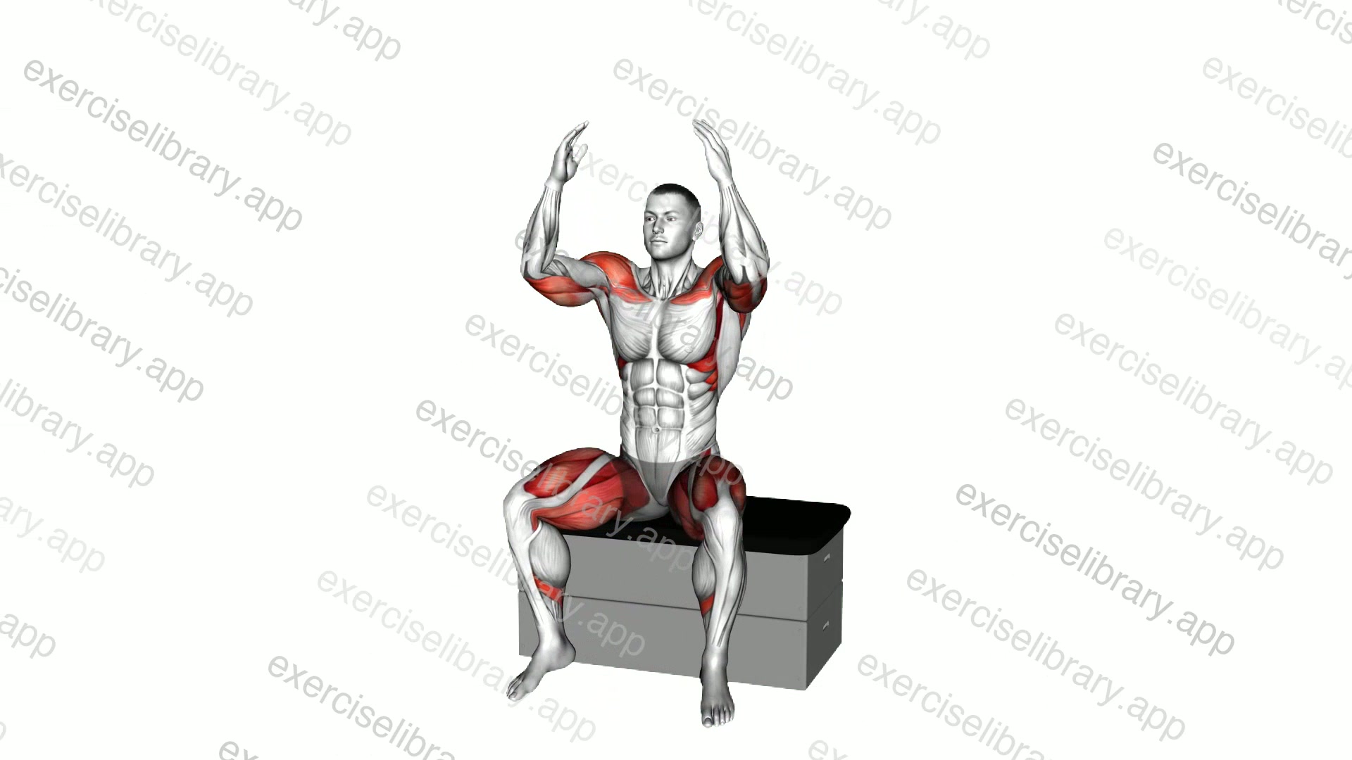 Sitting Shoulder Press and Hip Abduction on a padded stool demonstration