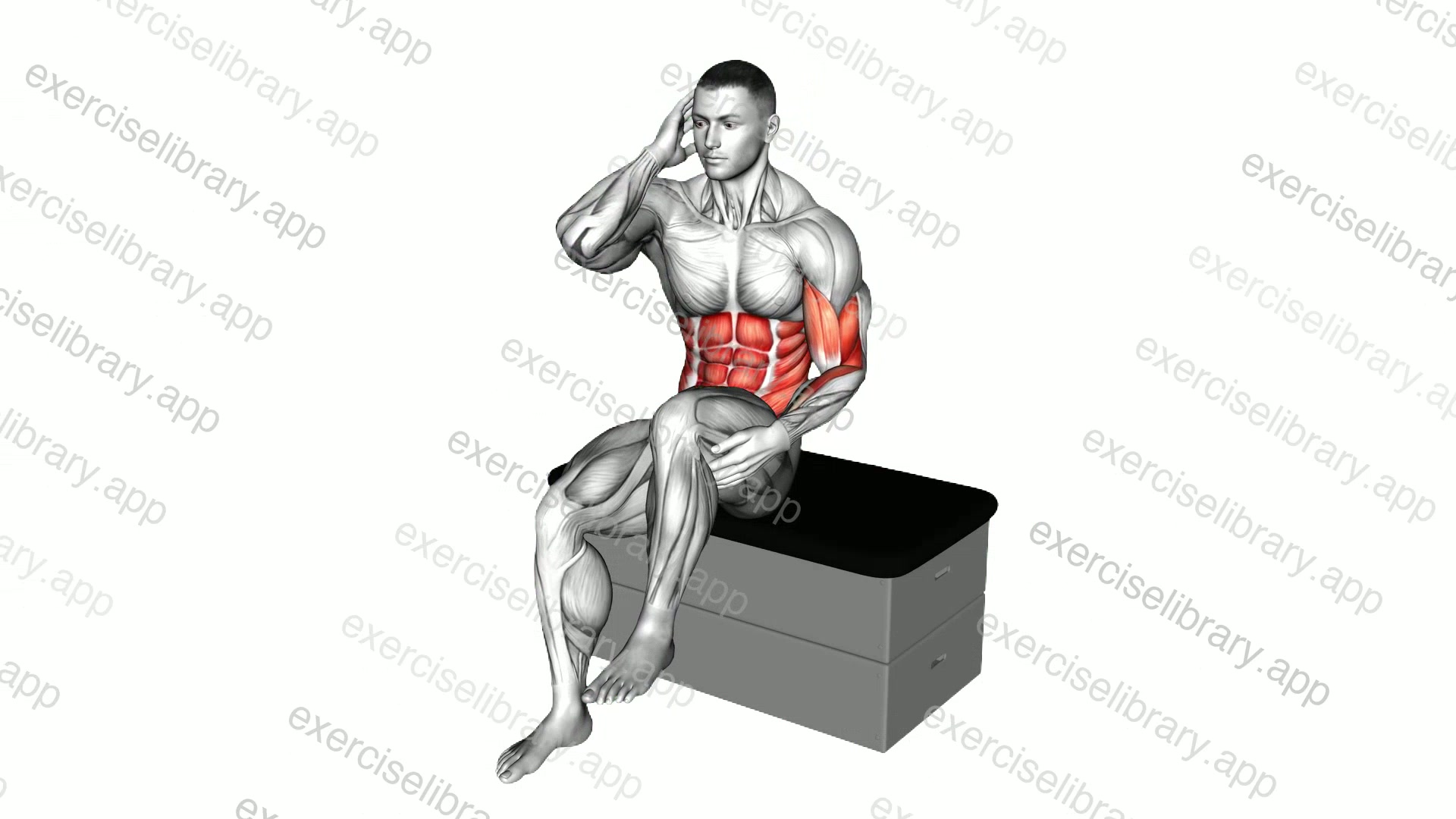 Sitting Side Crunch on a padded stool demonstration
