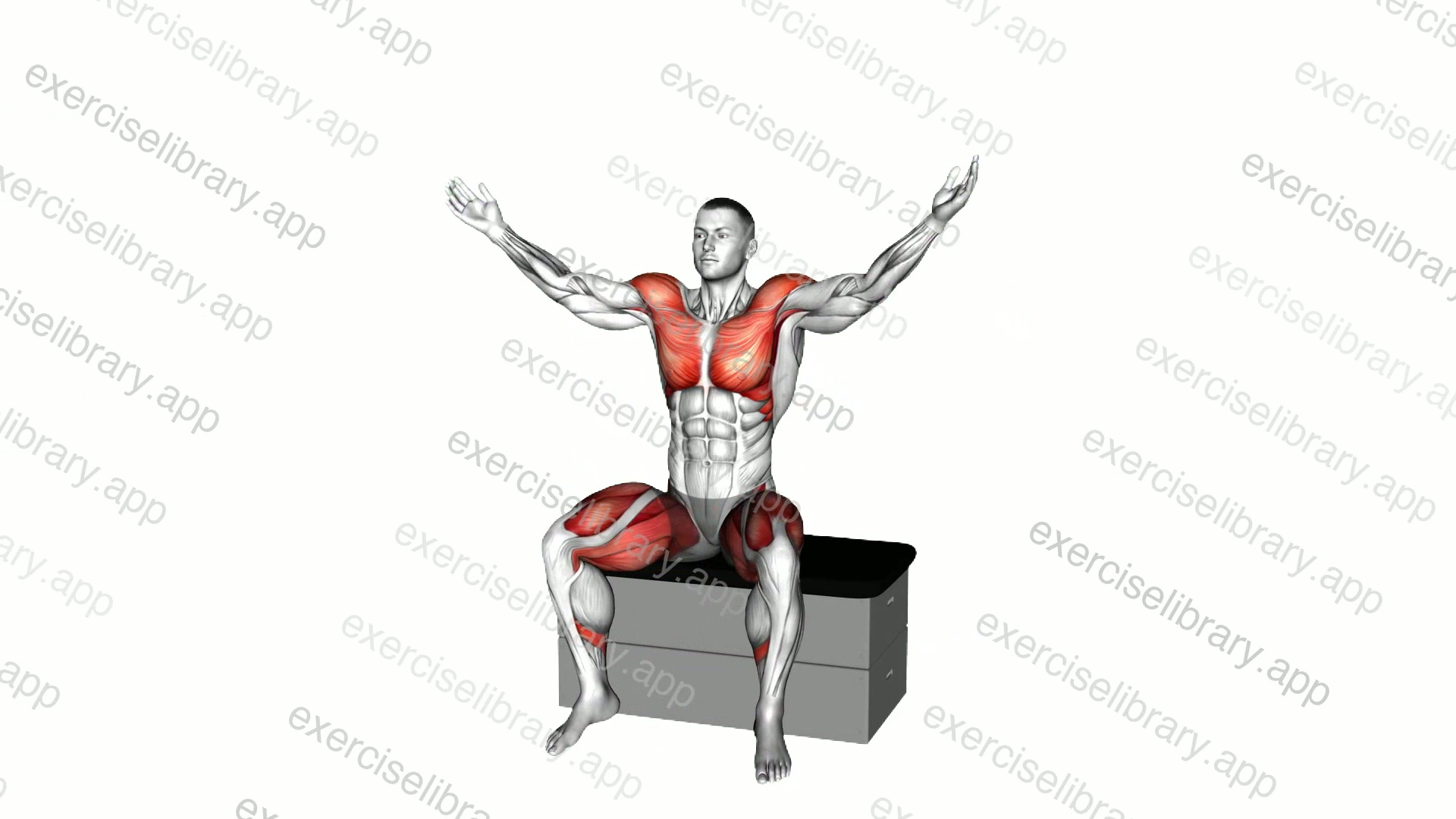 Sitting Jack on a padded stool demonstration
