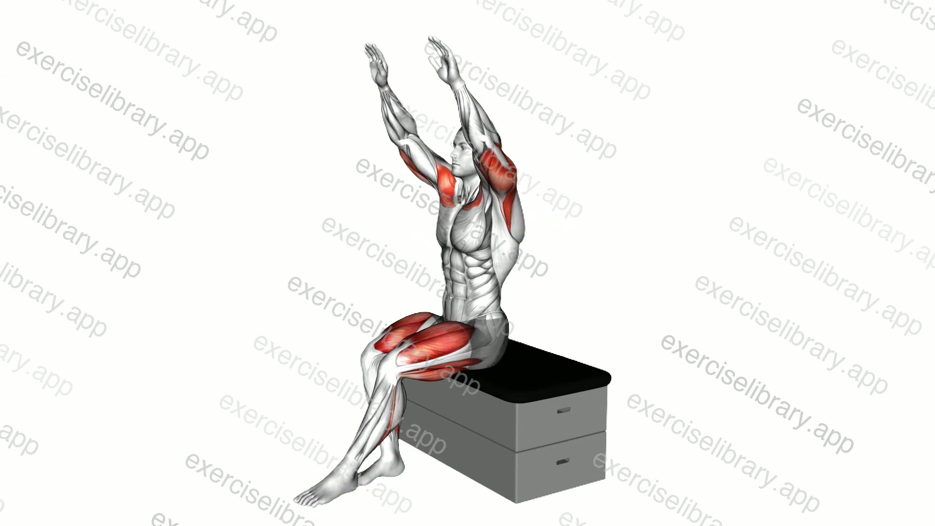 Sitting Incline Press StepOut on a padded stool demonstration