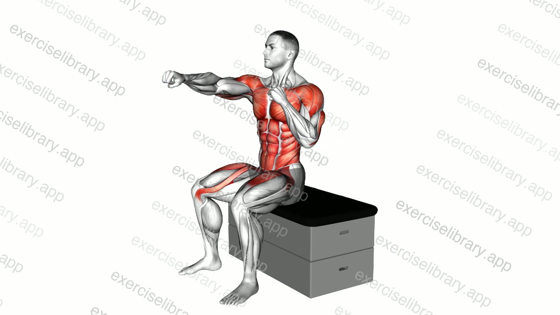 Sitting Punch Knee Tap on a padded stool demonstration