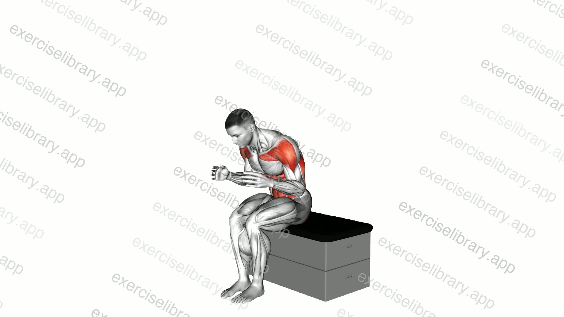 Sitting Shoulder Press Toe Touch on a padded stool demonstration